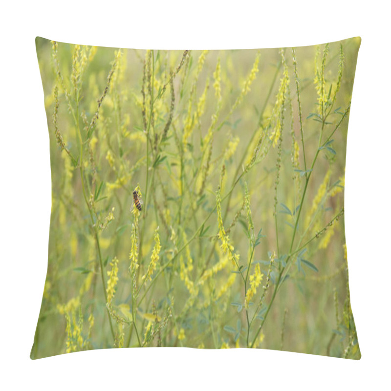 Personality  Yellow Flower Of Melilotus Officinalis In The Field Pillow Covers