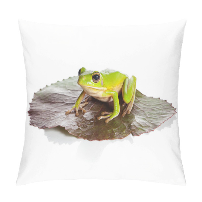 Personality  Isolated Frog On Leaf Pillow Covers