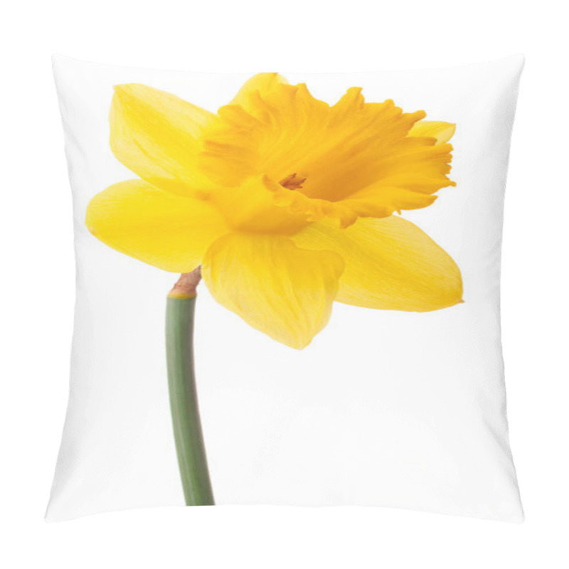 Personality  Daffodil Flower Or Narcissus Pillow Covers