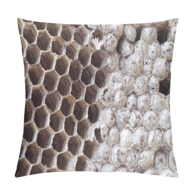 Personality  Wasps Nest Pillow Covers