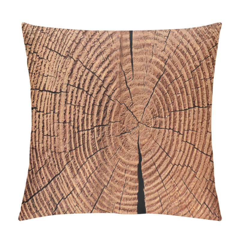 Personality  Full Frame Of Wooden Stump Texture As Backdrop Pillow Covers