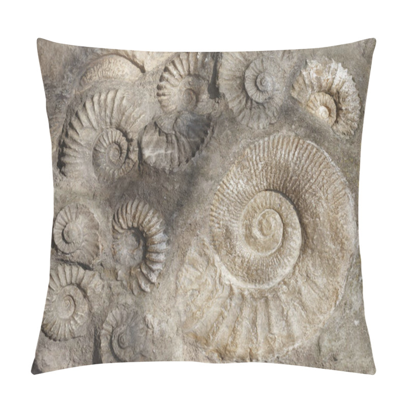 Personality  Prehistoric Fossilized Shell. The Concept Of The Archaeological Site Pillow Covers