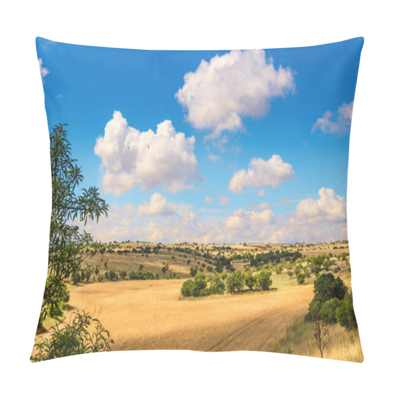 Personality  SUMMER LANDSCAPE. Alta Murgia Nationa Park: Field Of Wheat. - (Apulia) ITALY- Pillow Covers