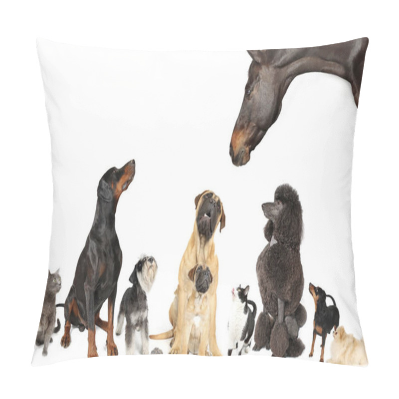 Personality  Group Of Various Animals, Including Cats, Dogs, A Turtle, A Chicken, And A Horse, Showcasing Diverse Species Together Pillow Covers