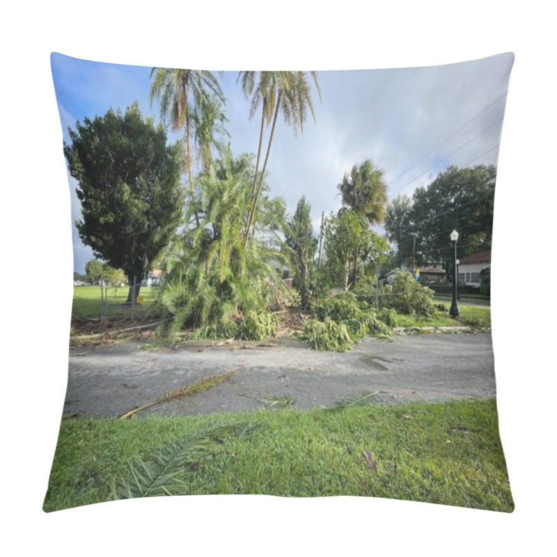 Personality  Lakeland, Fla USA 10 11 24: Hurricane Milton Damage And Scattered Foliage Pillow Covers