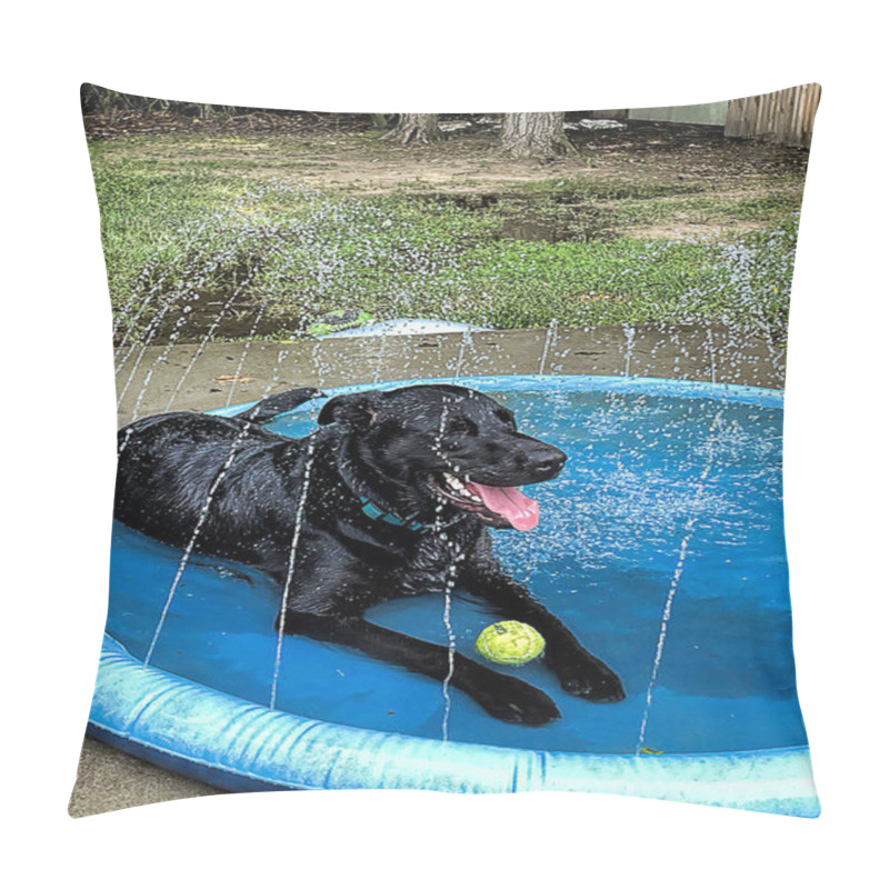 Personality  Jet Black Retriever Relaxes And Cools Off In His Pool With Sprinklers. Pillow Covers