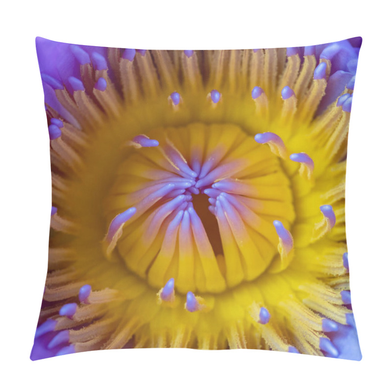 Personality  Waterlily Stamen Macro, Natural Floral Details Pillow Covers