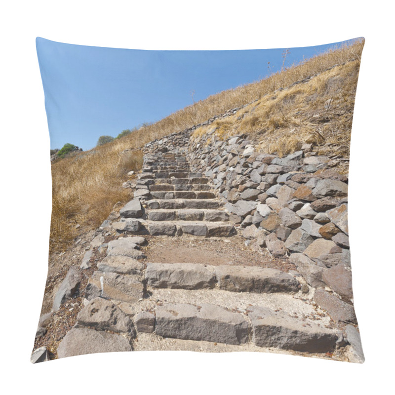 Personality  Gamla Nature Reserve Located In The Golan Heights In Israel. View Of The Archaeological Sites Pillow Covers