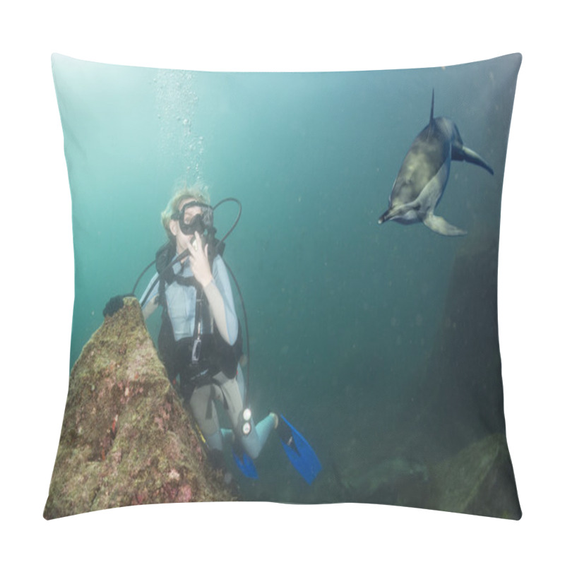 Personality  Beautiful Blonde Girl Approached By A Dolphin Pillow Covers