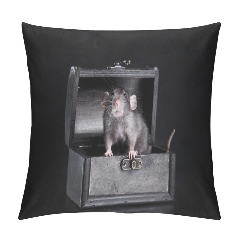 Personality  Brown  Domestic Rat On A Black Background Pillow Covers