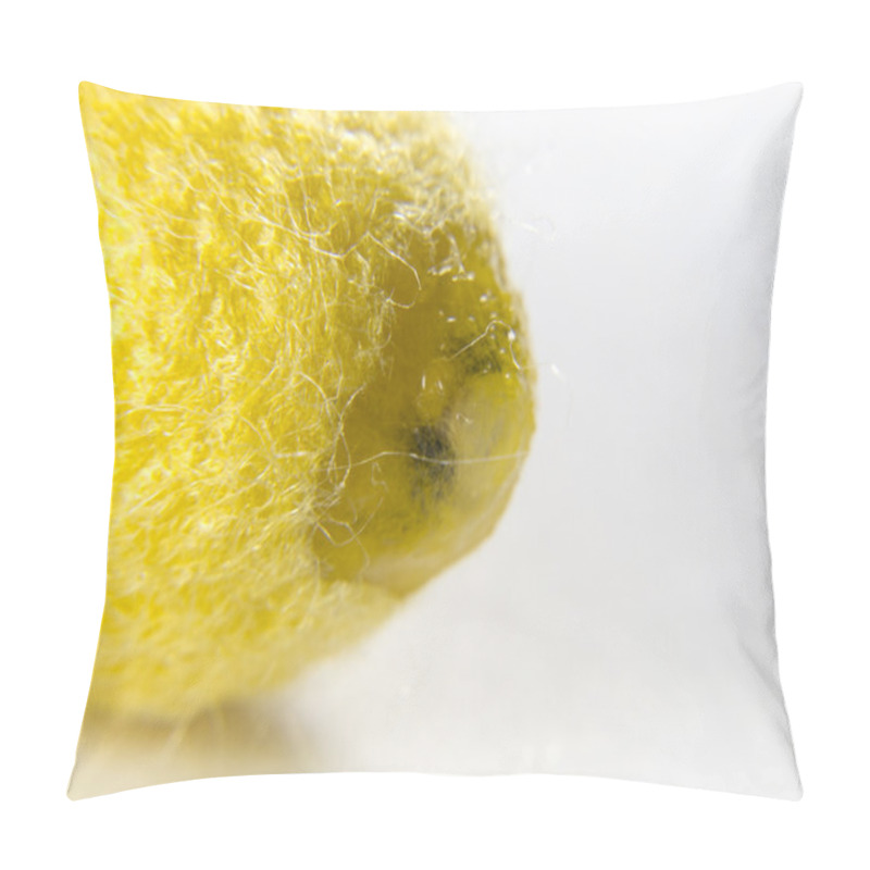 Personality  Cocoon Silk Butterfly About To Open Pillow Covers