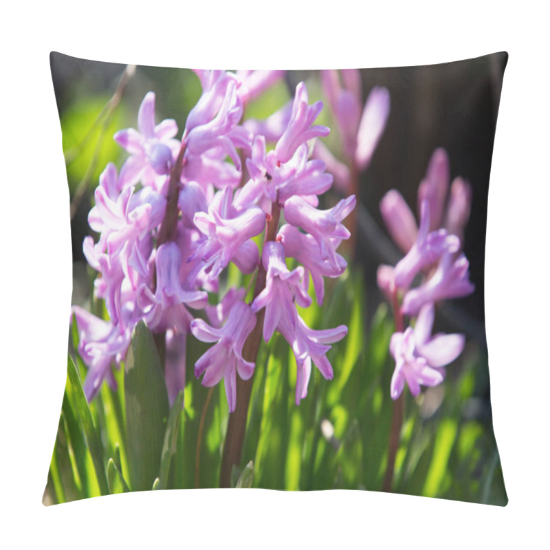 Personality  Hyacinths Pink Flowers In Bloom   Pillow Covers