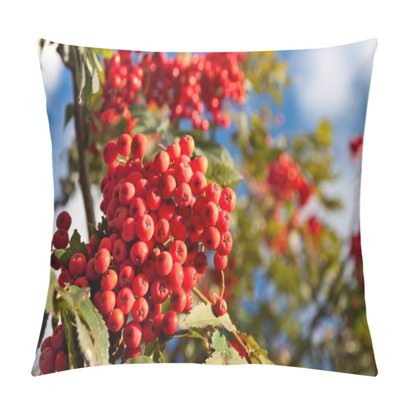 Personality  Branch Of A Mountain Ash Pillow Covers