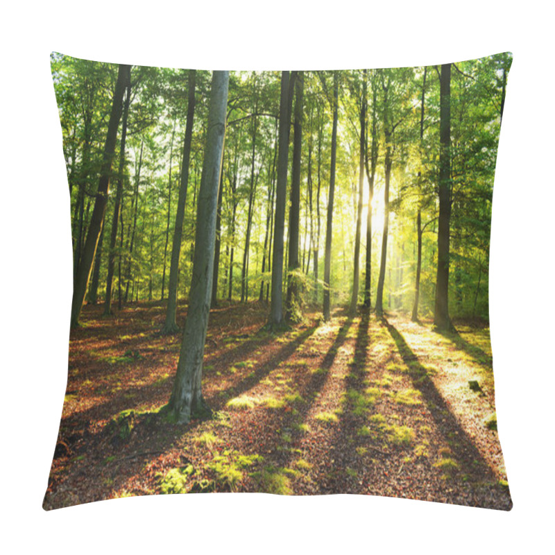 Personality  Beautiful Morning With Sunshine In Autumn Forest Pillow Covers