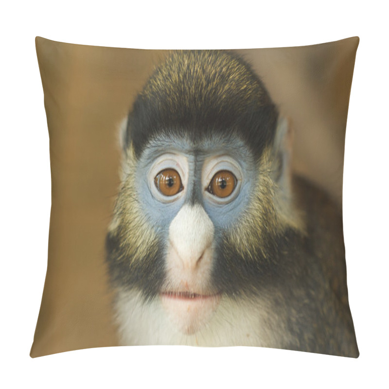 Personality  Frontal Portrait Of Lesser Spot-Nosed Monkey Pillow Covers