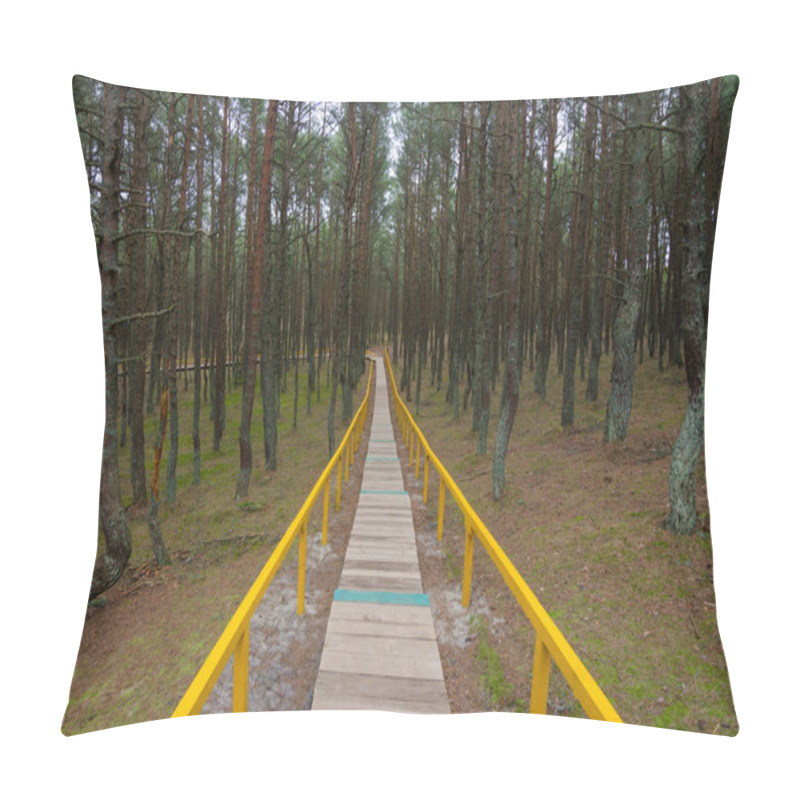 Personality  Wood Path Way Among The Trees Of Curonian Spit Pillow Covers