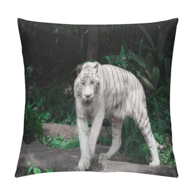 Personality  White Tiger Comes On The Plants Background Pillow Covers