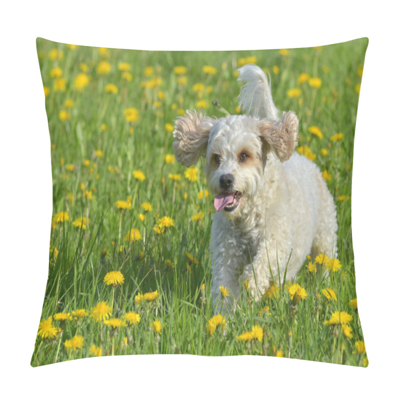 Personality  Little White Dog Pillow Covers