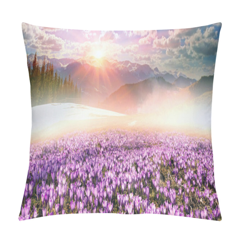 Personality  Crocuses Blooming Under Chernogora Pillow Covers