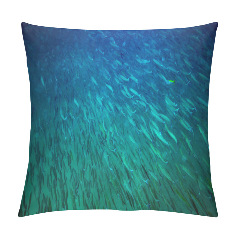 Personality  School Of Barracuda Near Koh Tao Island, Thailand Pillow Covers