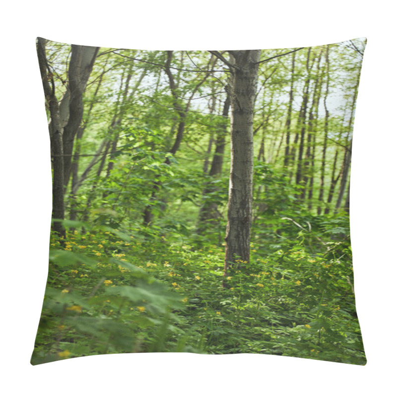 Personality  Green Leaves On Plants And Trees In Summer Forest Pillow Covers