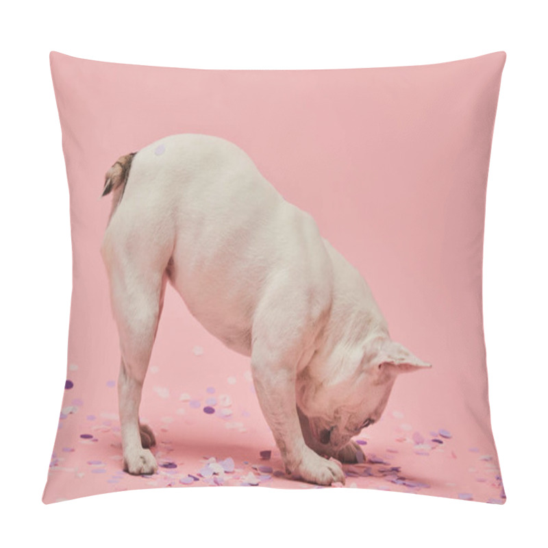 Personality  Light Coloured Dog With Head Down And Confetti On Pink Background Pillow Covers