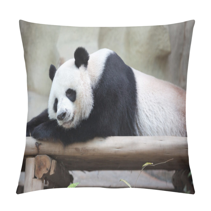 Personality  Sleeping Panda Pillow Covers