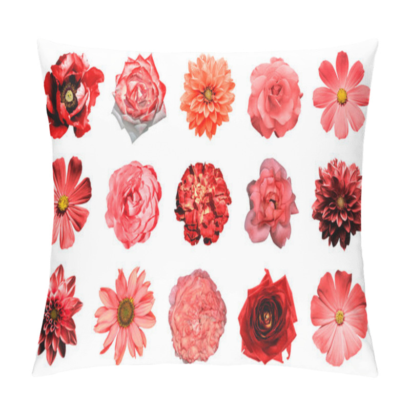 Personality  Mix Collage Of Natural And Surreal Red Flowers 15 In 1: Dahlias, Primulas, Perennial Aster, Daisy Flower, Roses, Peony Isolated On White Pillow Covers