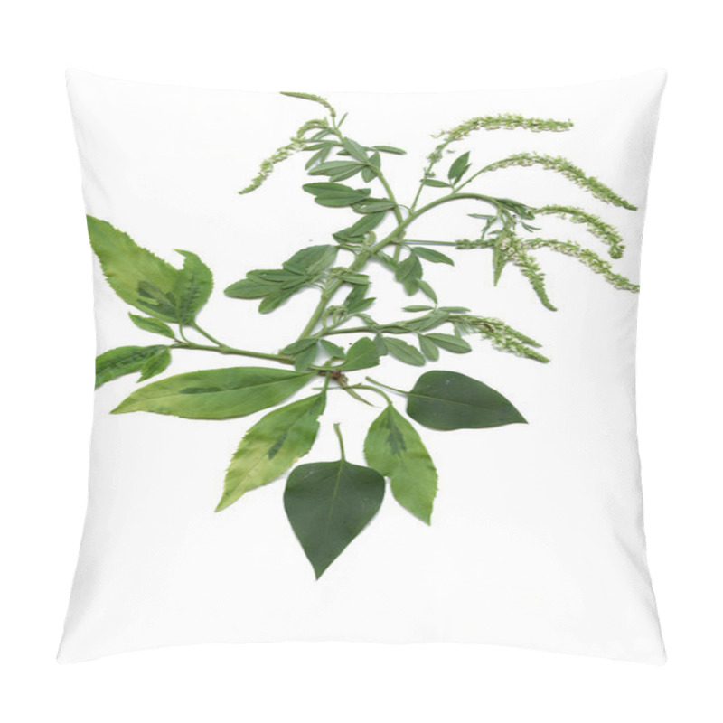 Personality  Meadow Herbs And Leaves Pillow Covers