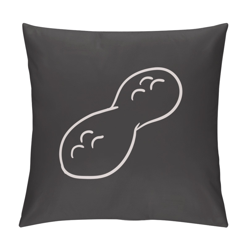 Personality  Peanut Sketch Icon. Pillow Covers