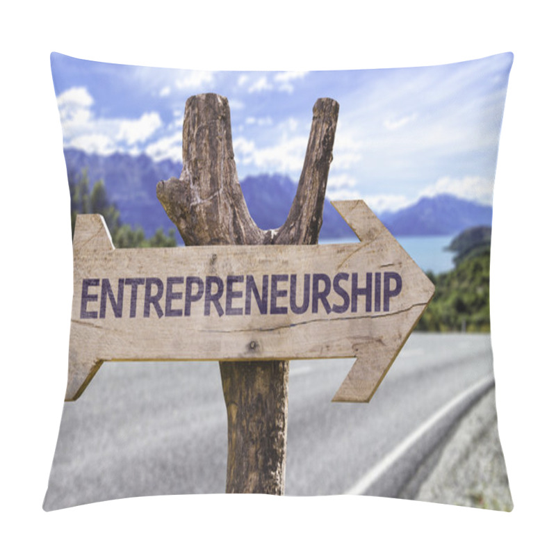 Personality  Entrepreneurship  Wooden Sign Pillow Covers