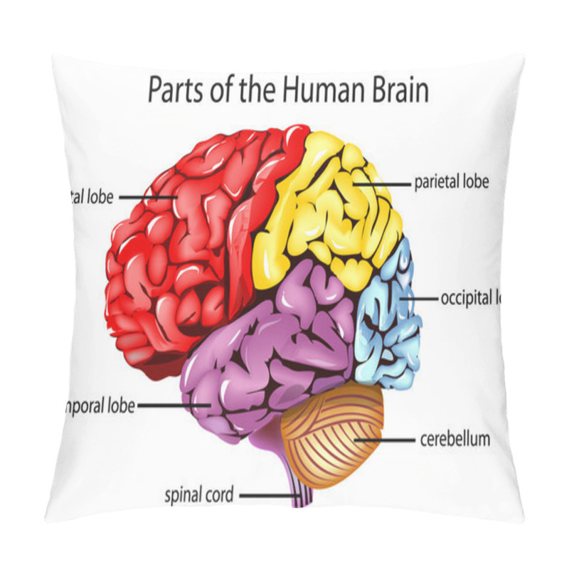 Personality  Human Brain Pillow Covers