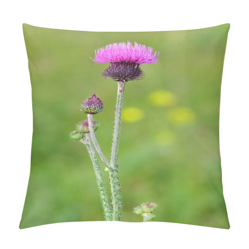 Personality  Natural Thorns, Purple Flowering Thorn Photos Pillow Covers