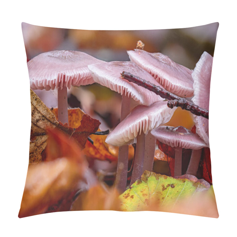 Personality  A Group Of Mycena Pura Mushrooms In The Fall Pillow Covers