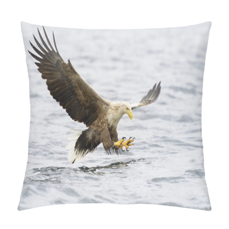 Personality  White-tailed Eagle Catching Fish Pillow Covers