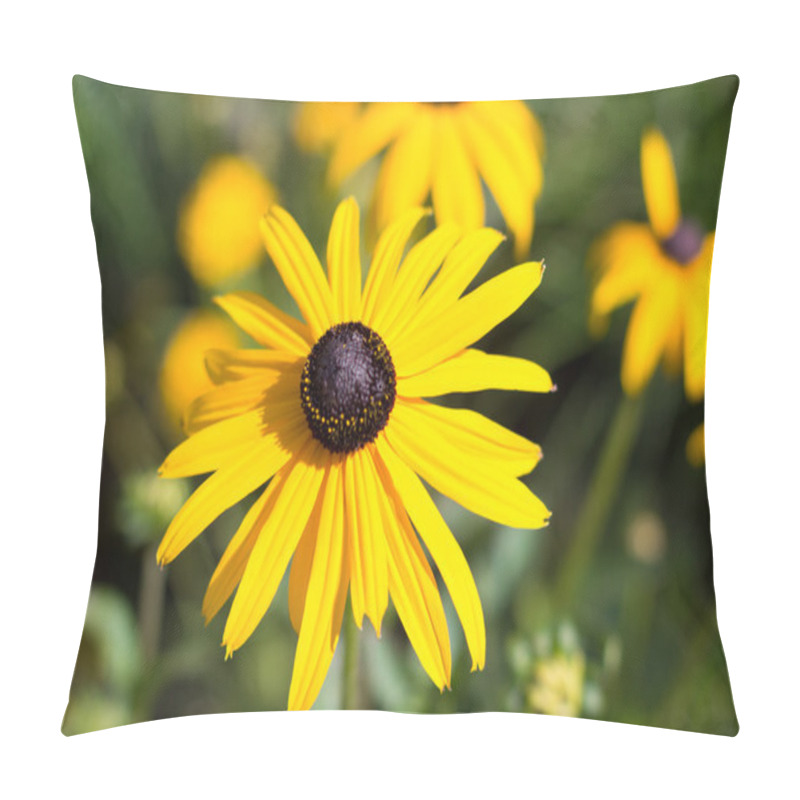 Personality  Yellow Flower Macro - Rudbeckia, Black Eyed  Susan  Pillow Covers