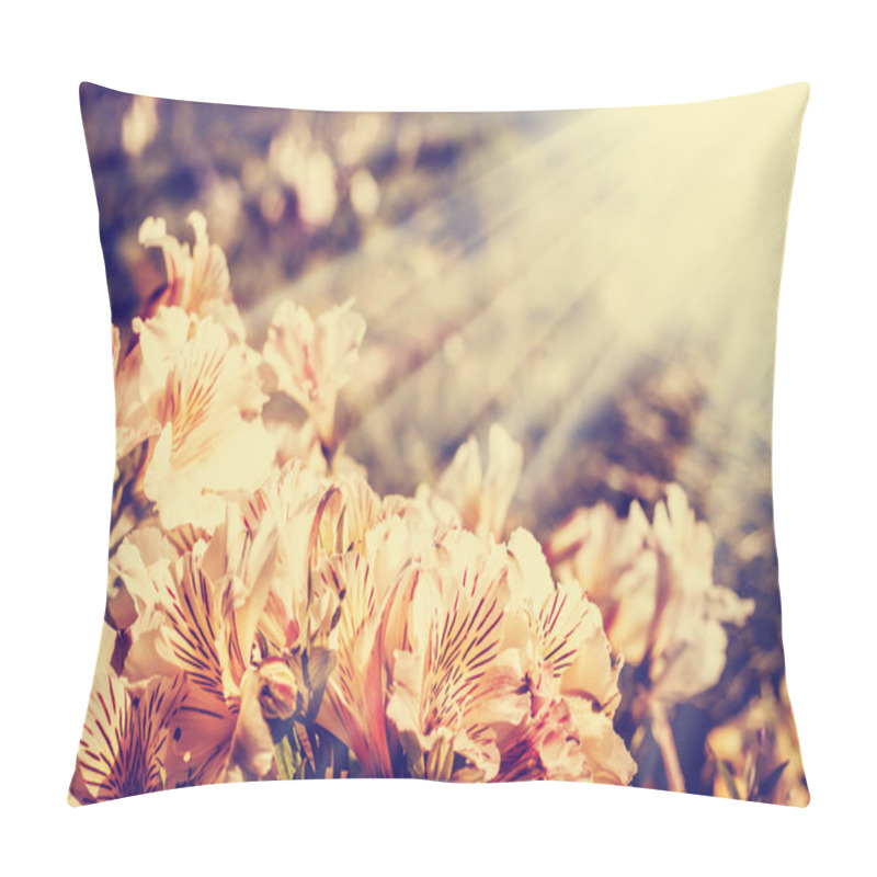 Personality  Beautiful Flowers In The Sunshine Pillow Covers