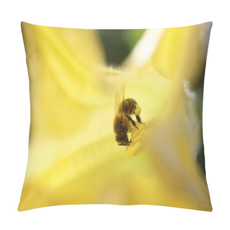 Personality  A Honey Bee Gathering Nectar Inside A Brugmansia Arborea (angel's Trumpet) Flower Pillow Covers