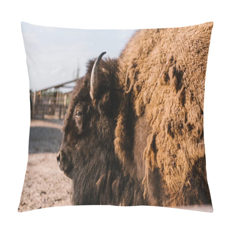 Personality  Close Up View Of Bison Grazing In Corral At Zoo Pillow Covers