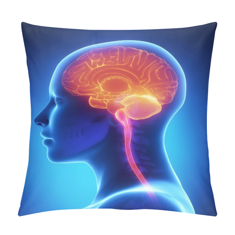 Personality  Female Brain X-ray Anatomy Pillow Covers