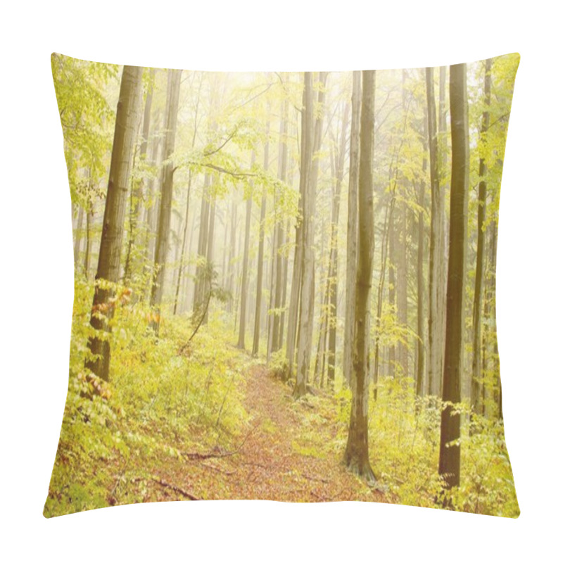 Personality  Misty Beech Forest Pillow Covers