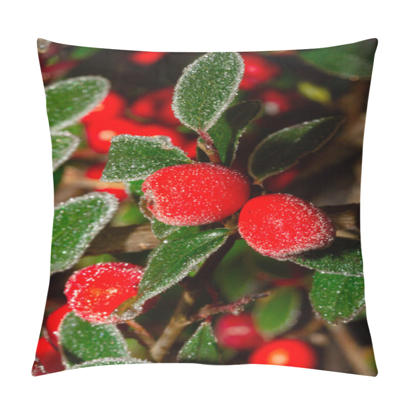 Personality  Red Holly Berries Ilex Aquifolium Covered With Hoar Frost,  Pillow Covers