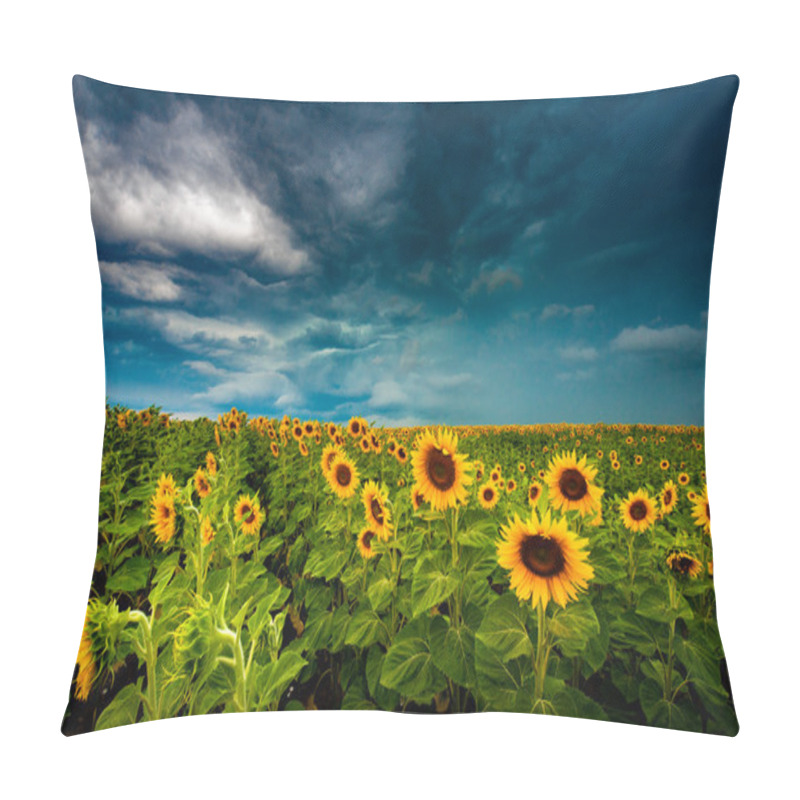 Personality  Summer Landscape: Beauty Sunset Over Sunflowers Field Pillow Covers