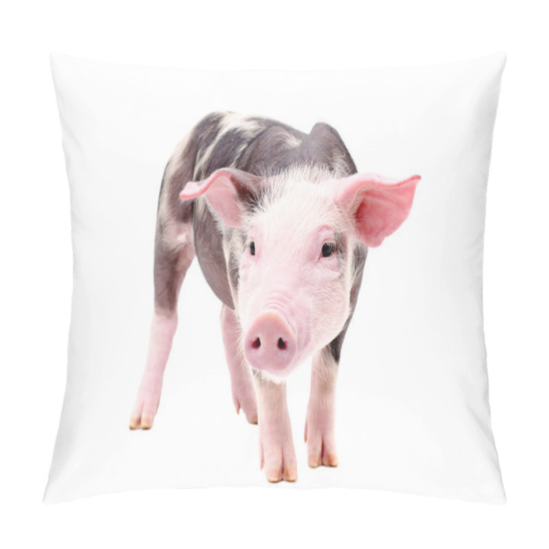 Personality  Funny Little Piglet Pillow Covers