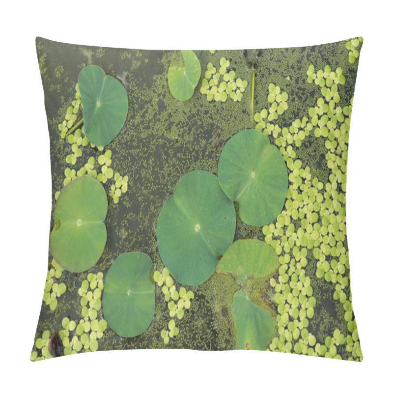 Personality  Texture With Leaves Of Water Lilies Pillow Covers