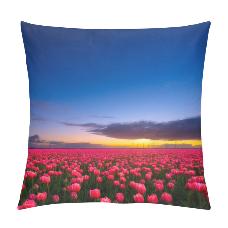 Personality  Netherlands. A Field Of Tulips During Sunset. Rows On The Field. Landscape With Flowers During Sunset. Photo For Wallpaper And Background.  Pillow Covers