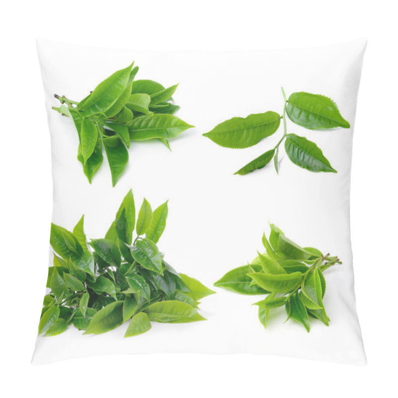 Personality  Set Of Tea Leaf Isolated On White Background Pillow Covers