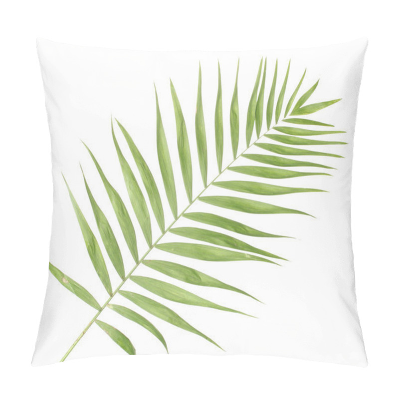 Personality  Beautiful Palm Leaf Isolated On White Pillow Covers