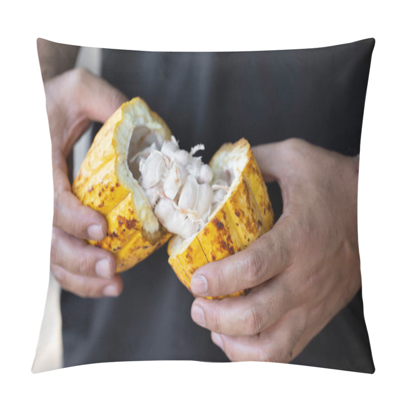 Personality  Man Holding A Ripe Cocoa Fruit With Beans Inside And Bring Seeds Out Of The Sheath. Pillow Covers