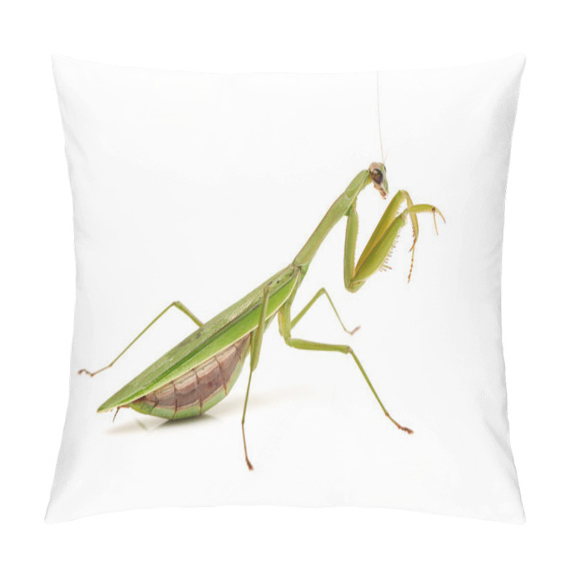 Personality  Green Mantis Pillow Covers